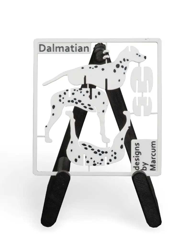 Dalmatian_Kit_Card_WB_psb6_6aeb5c8ce9.webp
