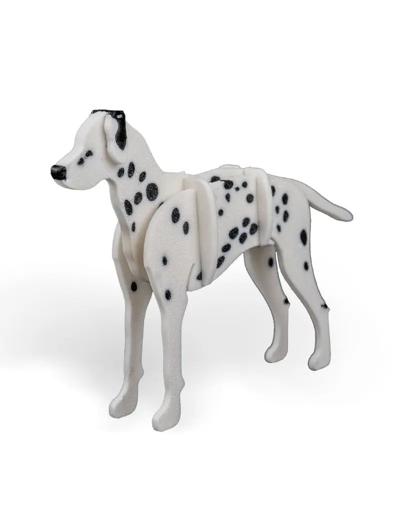 Dalmatian_Kit_Card_WB_psb5_a6020db7f8.webp