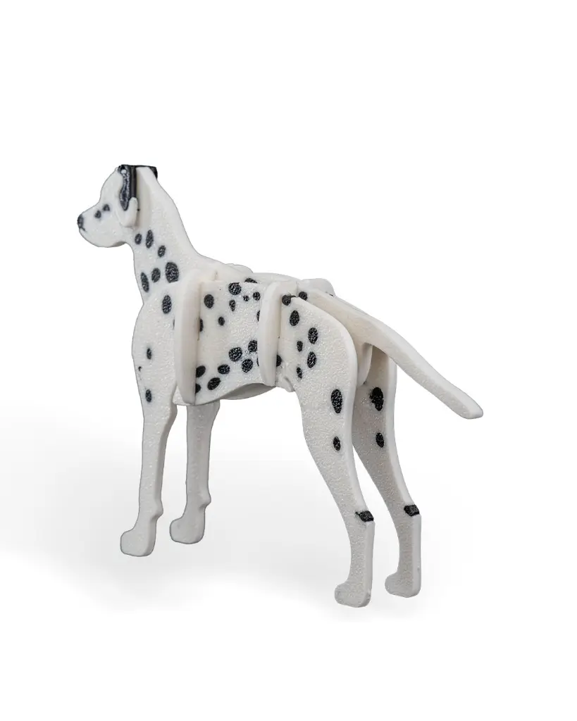 Dalmatian_Kit_Card_WB_psb3_c01e035342.webp