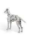 Dalmatian_Kit_Card_WB_psb3_c01e035342.webp