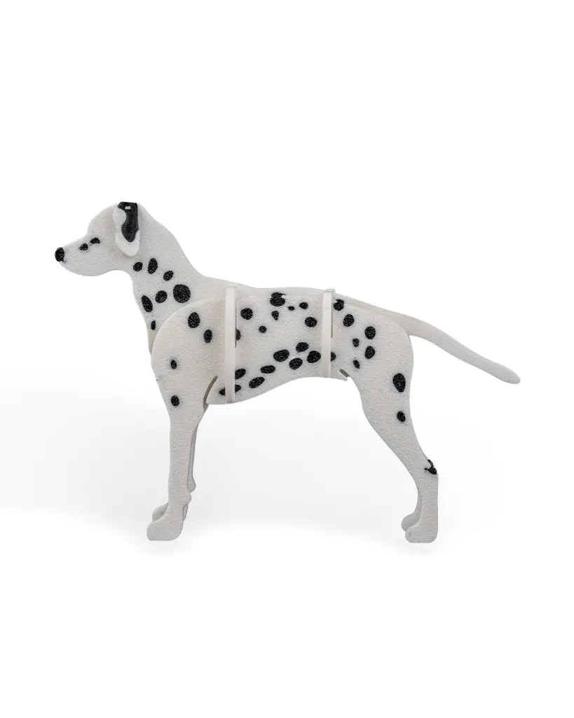 Dalmatian_Kit_Card_WB_psb4_447db0983f.webp