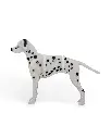 Dalmatian_Kit_Card_WB_psb4_447db0983f.webp