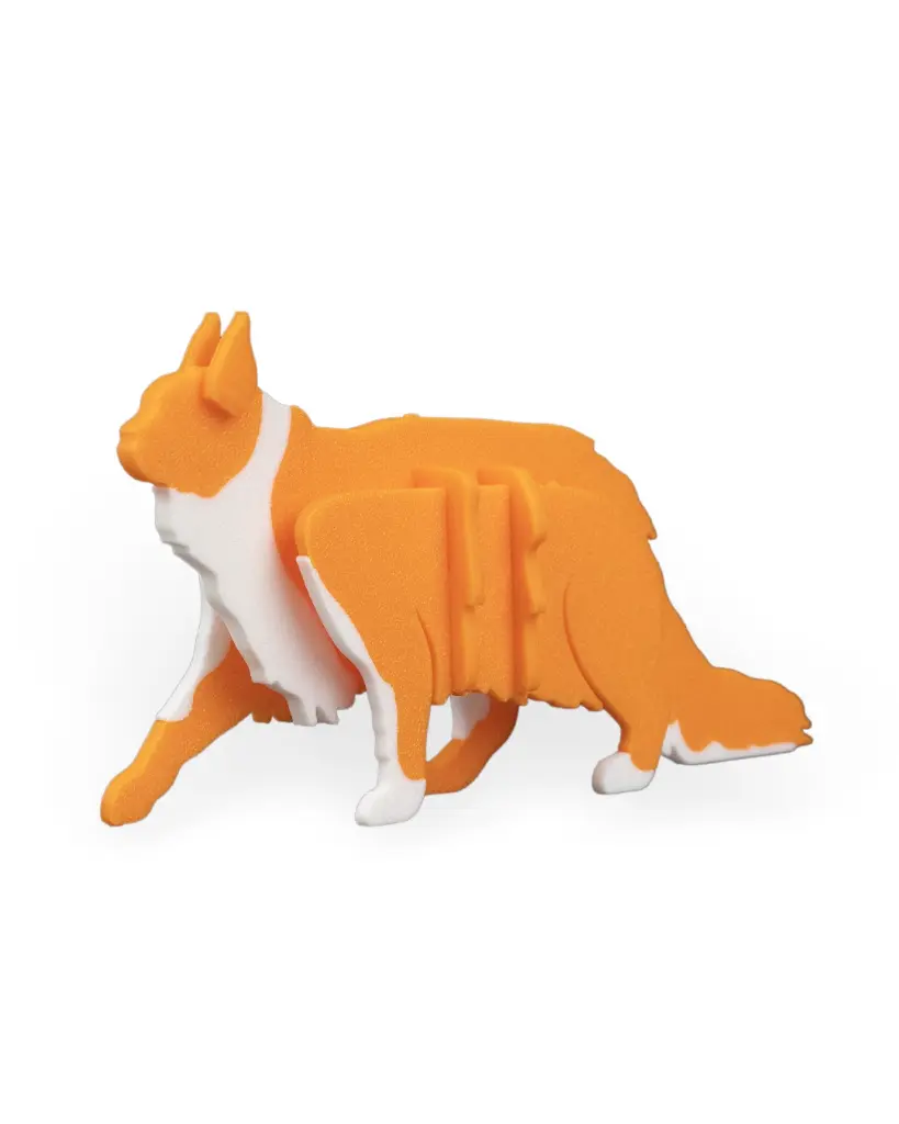 Maine_Coon_Kit_Card_WB_3_d48c6bdaea.webp