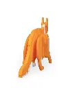 Maine_Coon_Kit_Card_WB_5_4ca8d6134a.webp