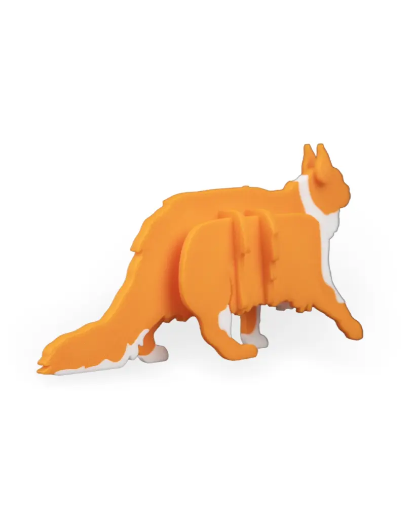 Maine_Coon_Kit_Card_WB_4_3a02bfee8d.webp