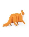 Maine_Coon_Kit_Card_WB_4_3a02bfee8d.webp