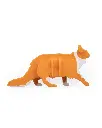 Maine_Coon_Kit_Card_WB_2_371964e608.webp
