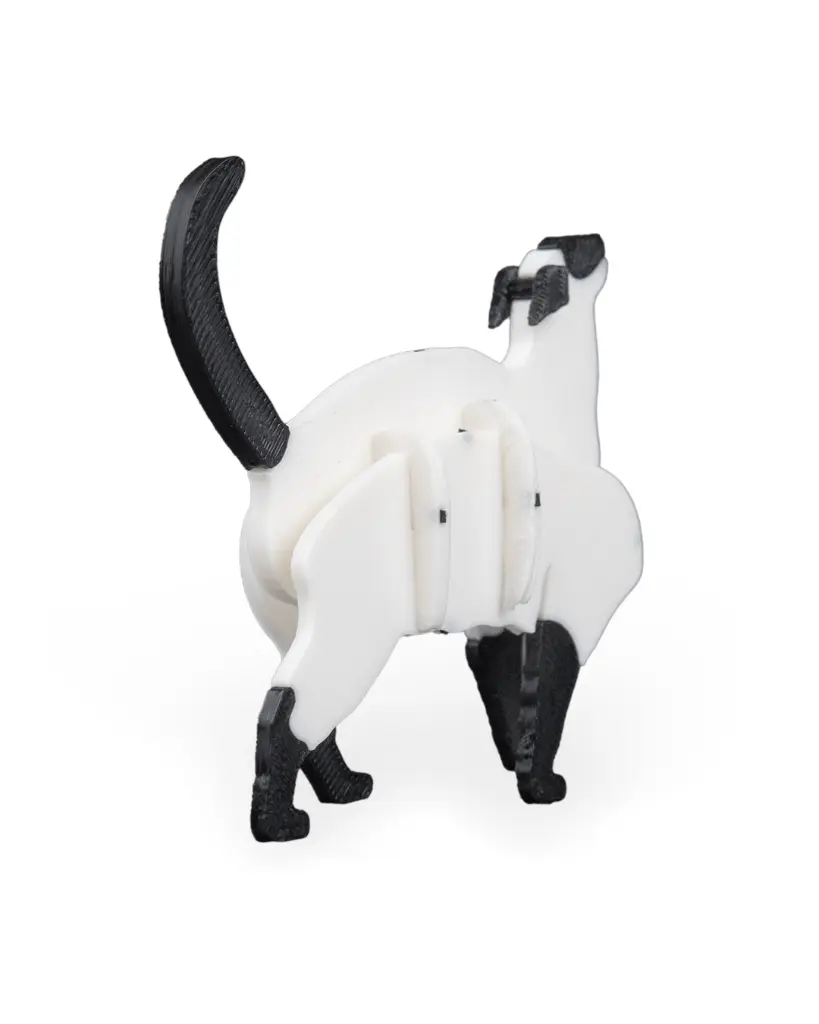 Siamese_Cat_Kit_Card_WB_4_beaa0d86ed.webp