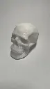 skull-v32.webp