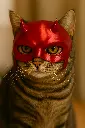 cat mask.webp