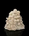 Bone_Throne_Phone_Holder4_f6b36d8469.webp