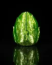 Dragon_Egg_Leaf_3_8bf3bf0c04.webp