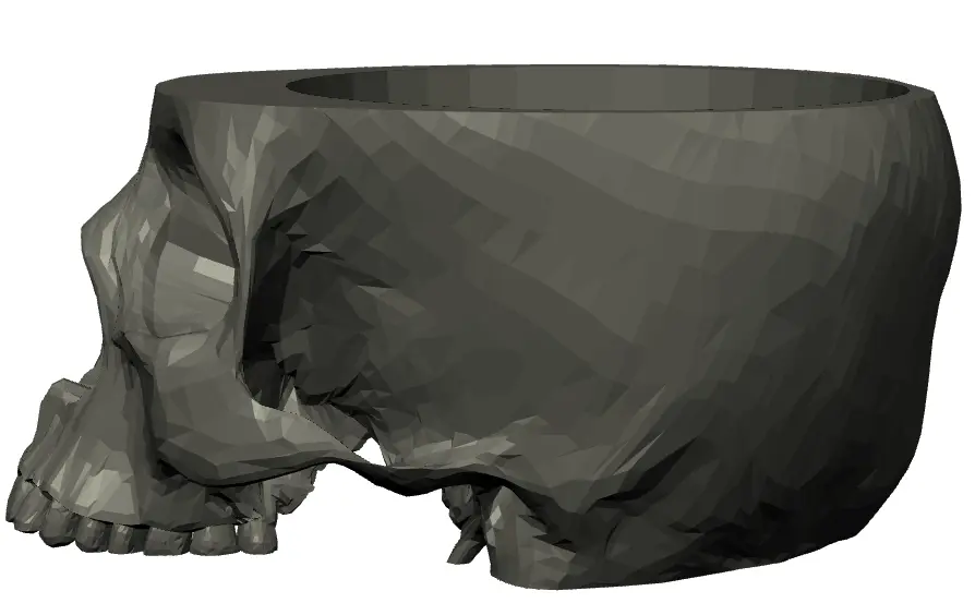 skull bowl2.webp