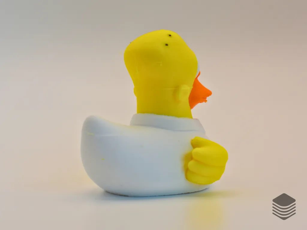 Homer Simpson Duck - Site (3).webp