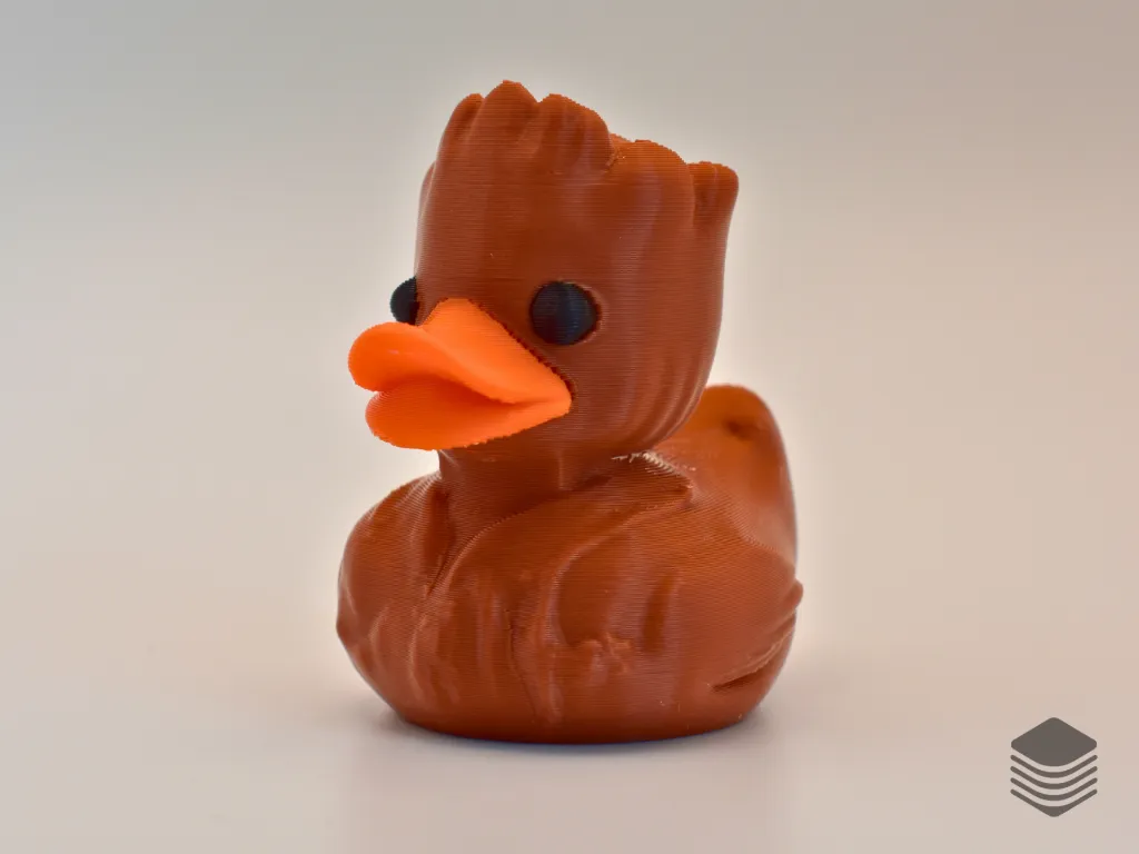 Groot Duck - Site (2).webp