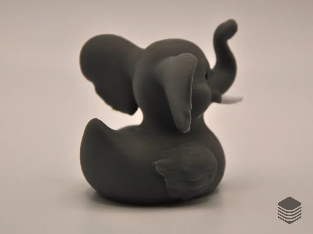 Elephant Duck - Site (3).webp