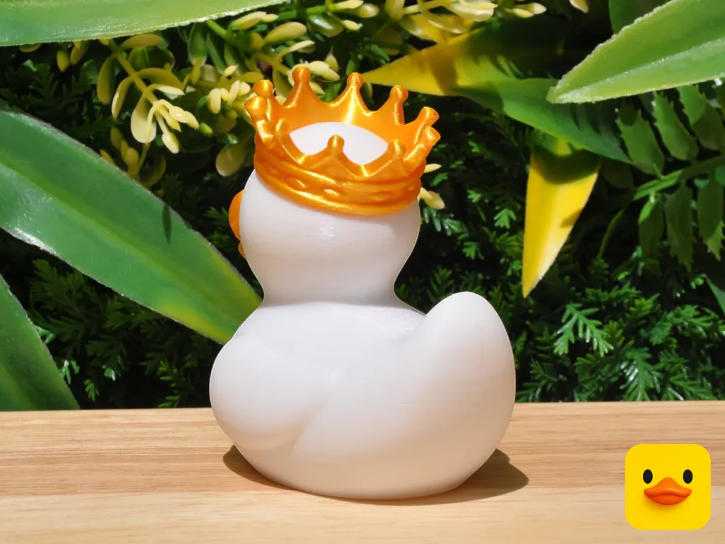 RoyalCaribbeanCruiseDuck_PHOTO_L43_03.webp