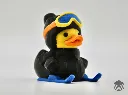 pic 1.webp