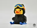 Pic 4.webp