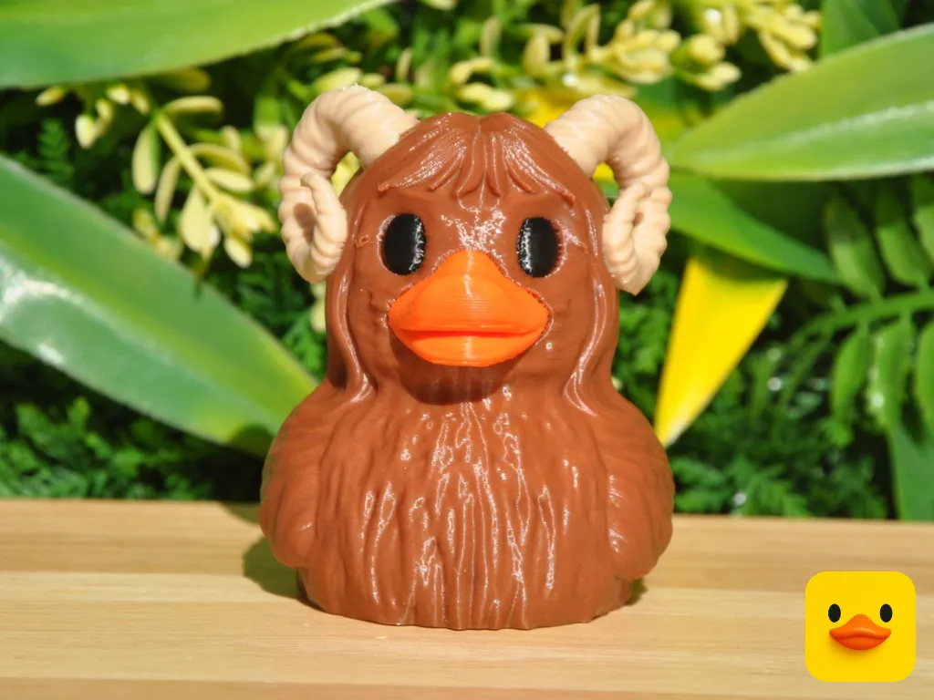 BanthaDuck_PHOTO_L43_02.webp