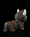 Chill_Highland_Cow3_0010aff007.webp