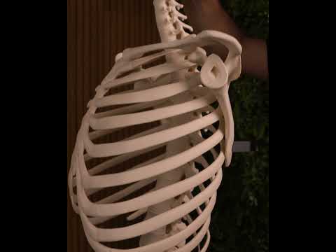 youtube - [Video]