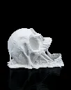 Doom_Skull_Dice_Tower_2_e950f28b16.webp