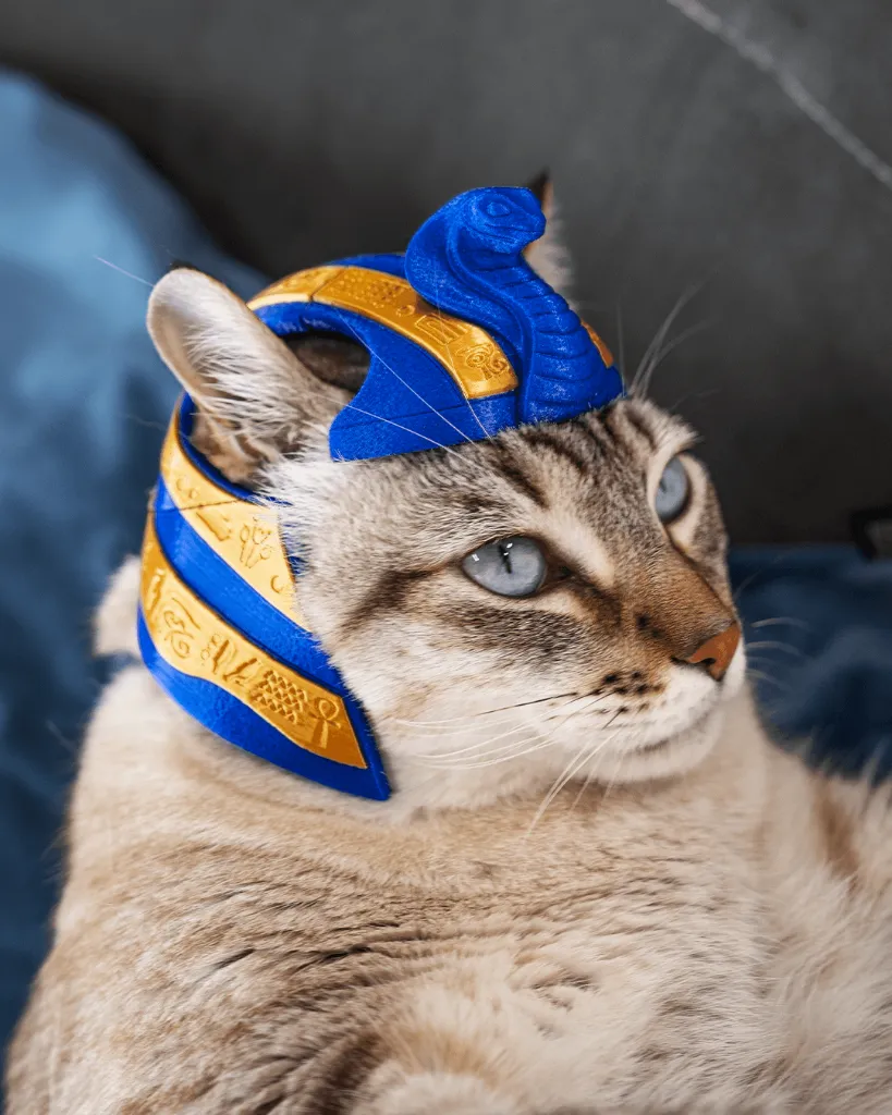 Pharaoh_Cat_Cat_Costume_3_95cc3b815d.webp