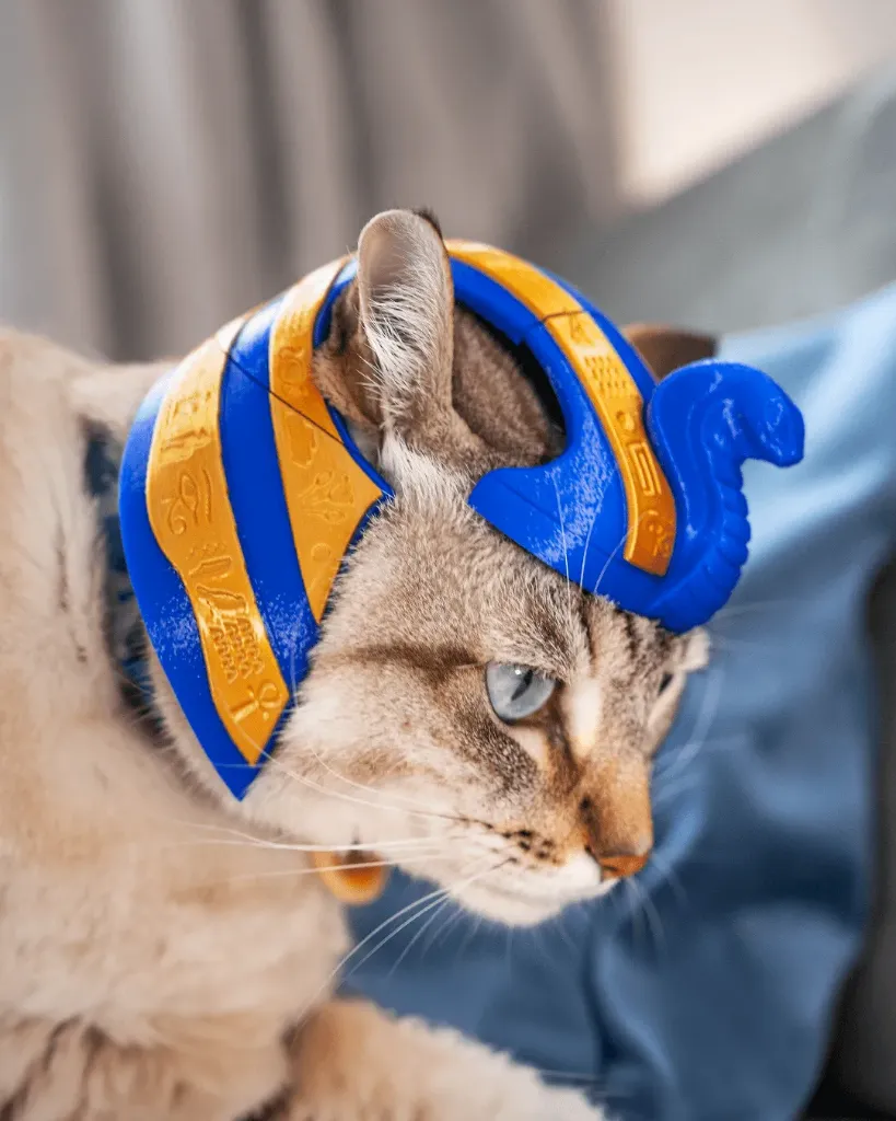 Pharaoh_Cat_Cat_Costume_1_c7701677eb.webp