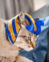 Pharaoh_Cat_Cat_Costume_1_c7701677eb.webp