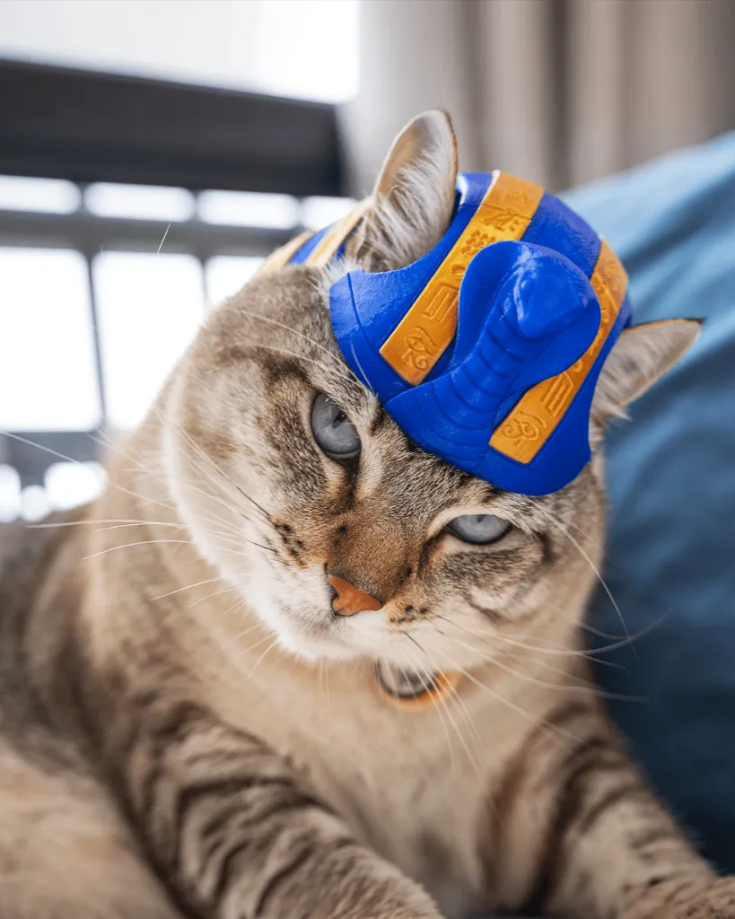 Pharaoh_Cat_Cat_Costume_2_a763224307.webp