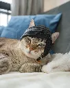 1_36df64c103.webp