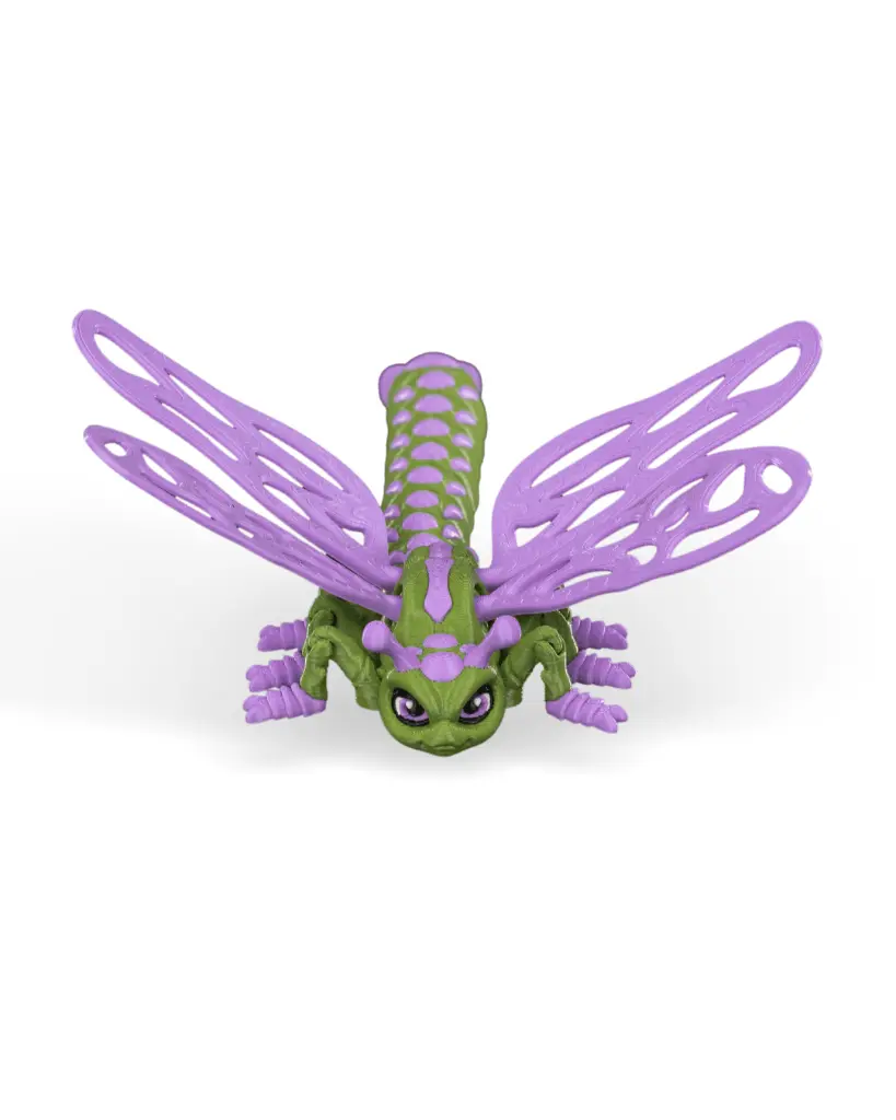 Lenny_Dragonfly_WB_5_294563e904.webp