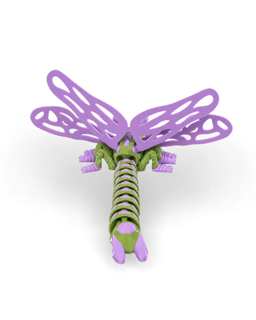 Lenny_Dragonfly_WB_7_1e68fc3359.webp
