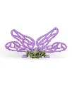 Lenny_Dragonfly_WB_1_cd429094f8.webp
