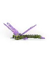 Lenny_Dragonfly_WB_3_1ff2c84dba.webp