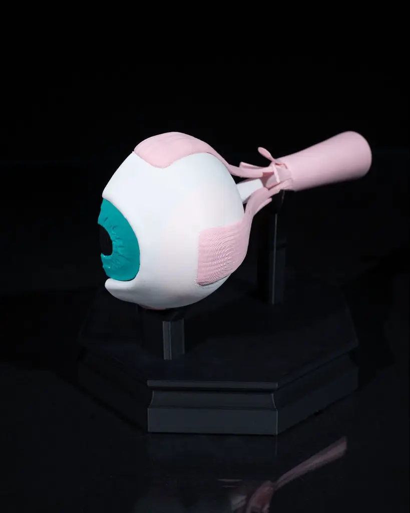 Human_Eye_3_c65836aac0.webp