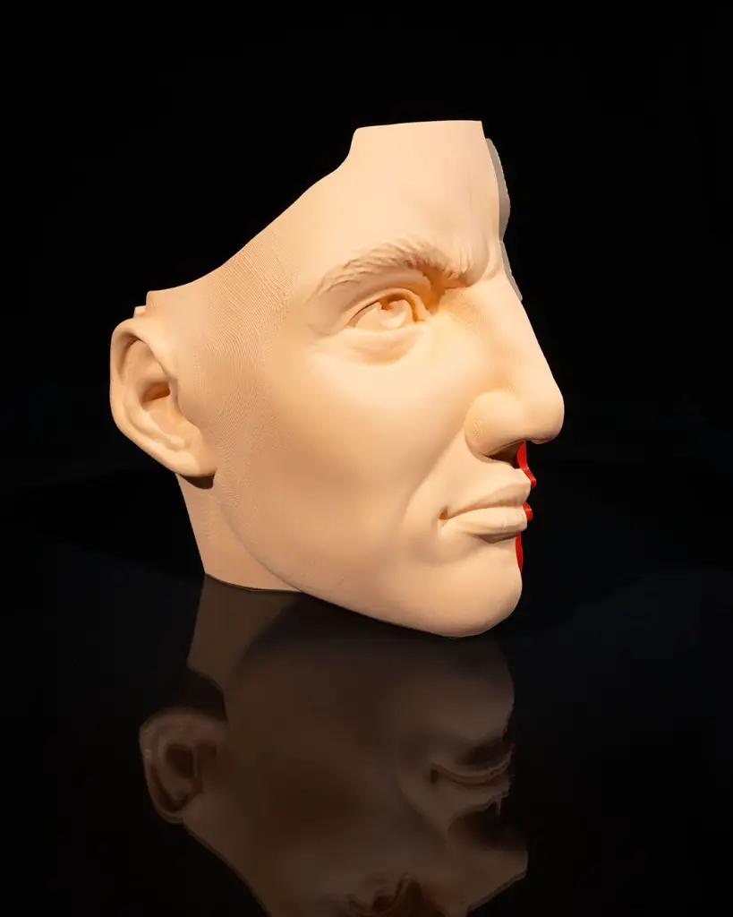 Nose_and_Sinus_4_d678b9825f.webp