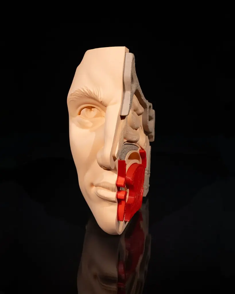 Nose_and_Sinus_5_1859961bf2.webp