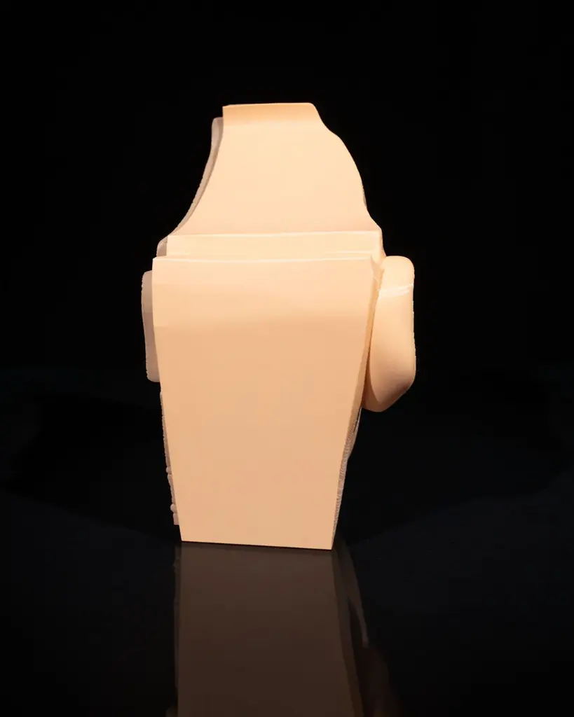 Nose_and_Sinus_2_05dcda2cce.webp