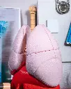 Lung_Anatomical_Model_5_Photoroom_1_3a531836cd.webp