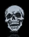 Bold_Skull_Coaster_5_cad3fdfa67.webp