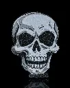 Bold_Skull_Coaster_4_0d1227afb4.webp
