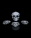 Bold_Skull_Coaster_2_c59df7bd4f.webp