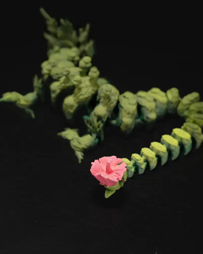 DSC_01869_4832c6419e.webp