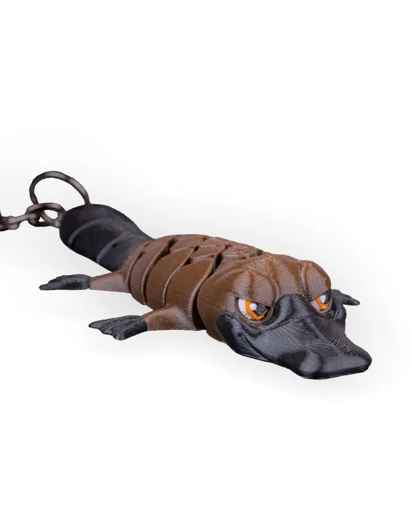 Pierre_the_Platypus_WB_5_4b56d0d506.webp