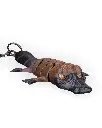 Pierre_the_Platypus_WB_5_4b56d0d506.webp
