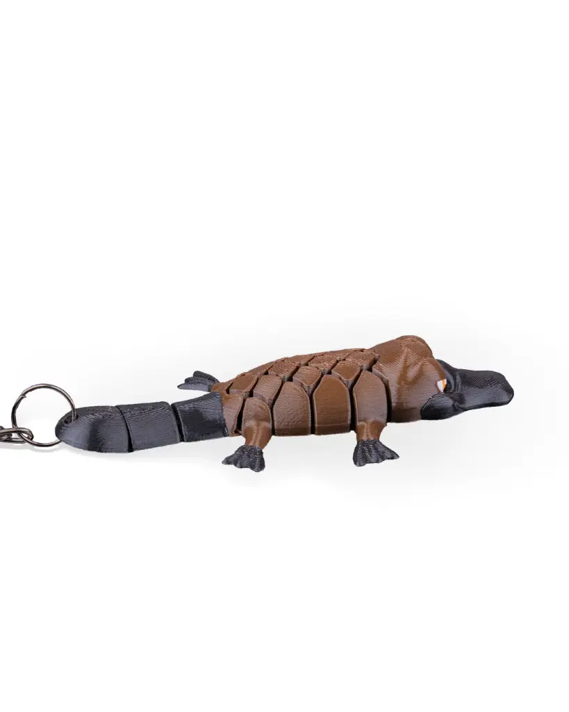 Pierre_the_Platypus_WB_4_fb5d174274.webp