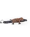 Pierre_the_Platypus_WB_4_fb5d174274.webp