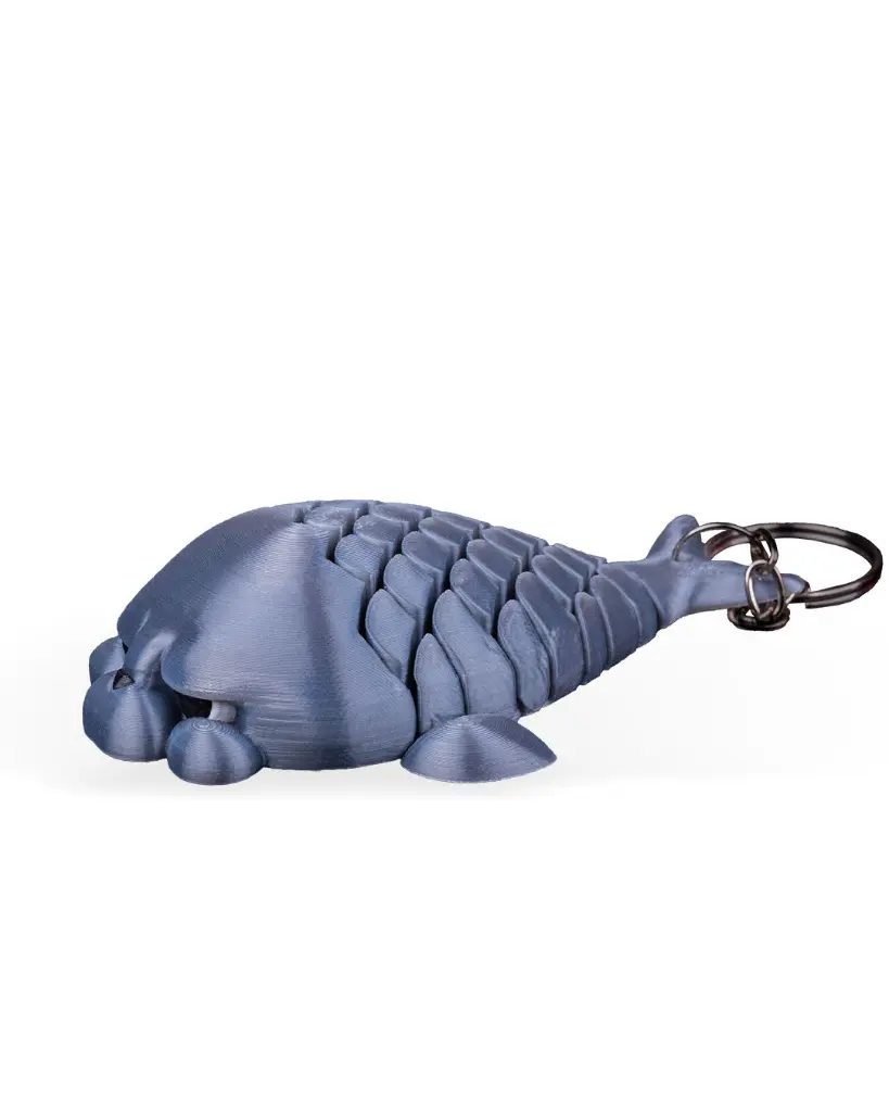 Phil_the_Seal_WB_2_a586f3686a.webp